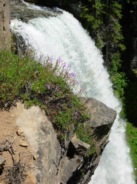 Summer '06 Sunriver 257 